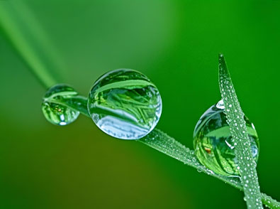 ��ҳ| ���������й��ٷ���վ